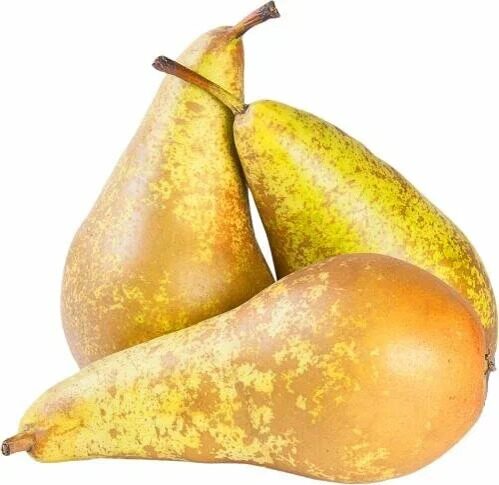 Груша Конференция 1кг.