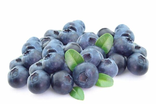 Голубика 1уп.